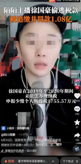 處罰之外更需法律反思 從徐國豪逃稅案看稅收監管的漏洞